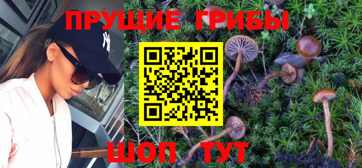Псилоцибиновые грибы MAGIC MUSHROOMS  Вход с VPN  Галлюциногенные грибы MAGIC MUSHROOMS  Алексеевка 