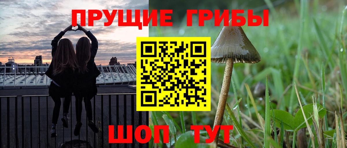 Псилоцибиновые грибы ЛСД Алексеевка